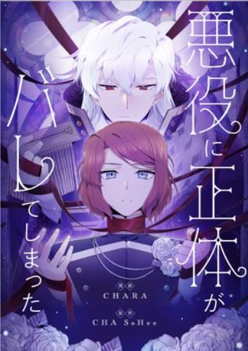 悪役に正体がバレてしまった.jpg
