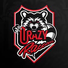 Crazy Raccoon.jpg