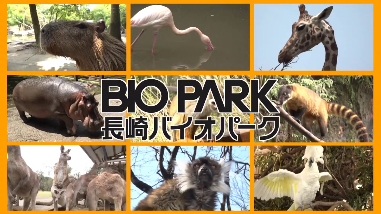 長崎バイオパーク公式.jpg