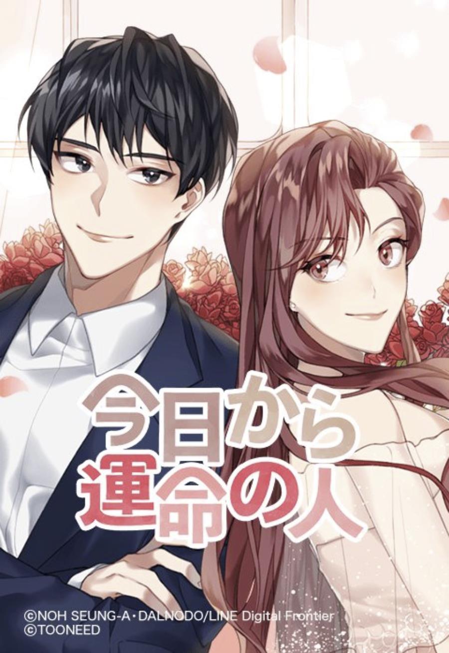 今日から運命の人.jpg