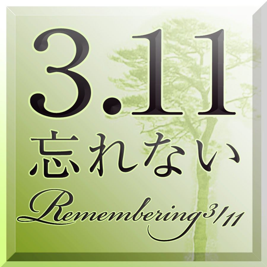 FNN311.jpg