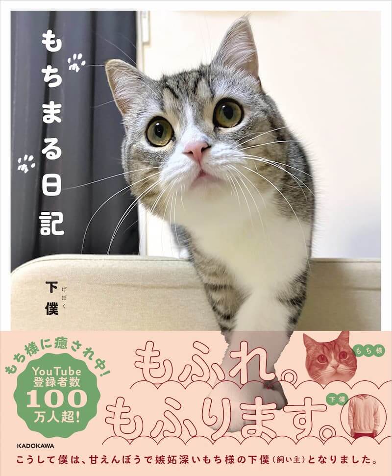 もちまる日記.jpg