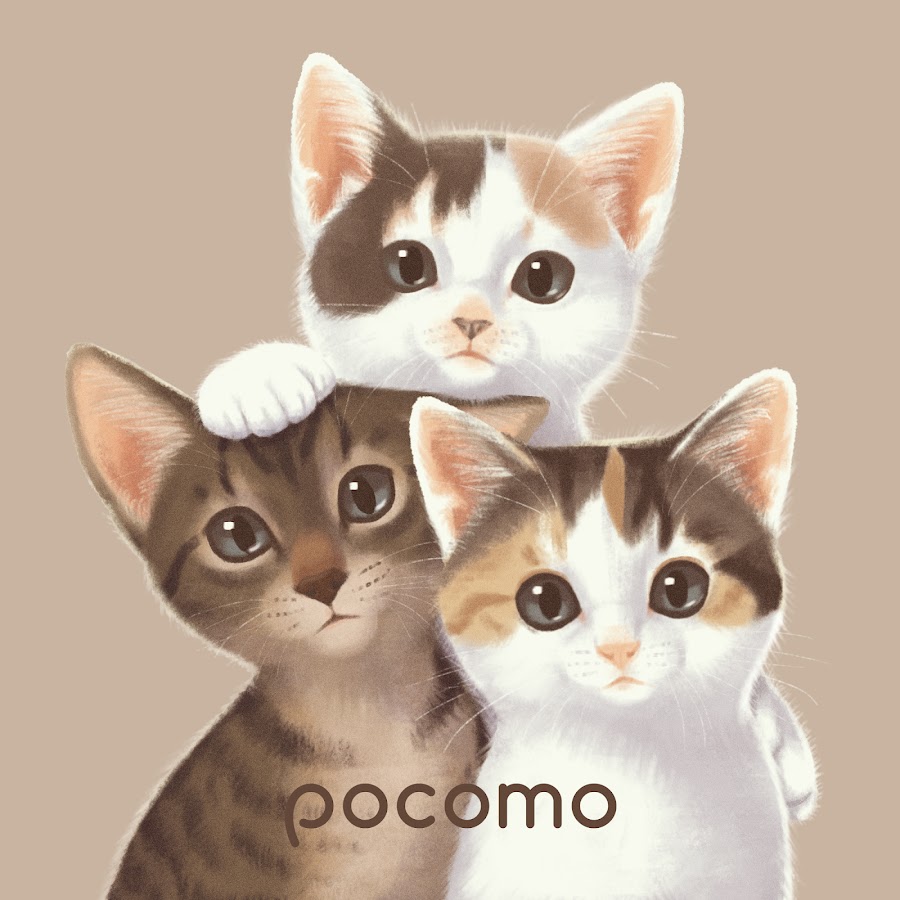Pocomo life.jpg