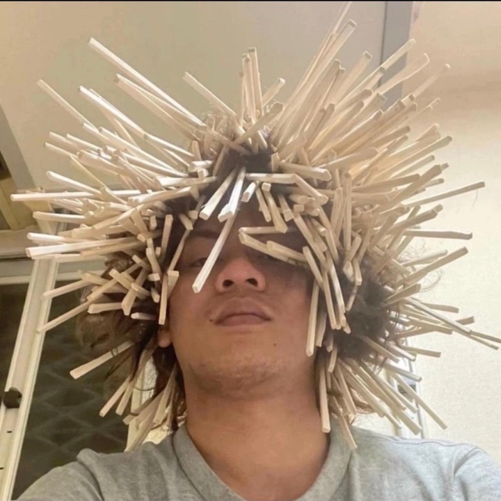 Haritsu 極.jpg
