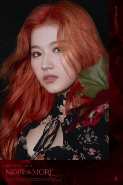 ファイル:SANA.jpg