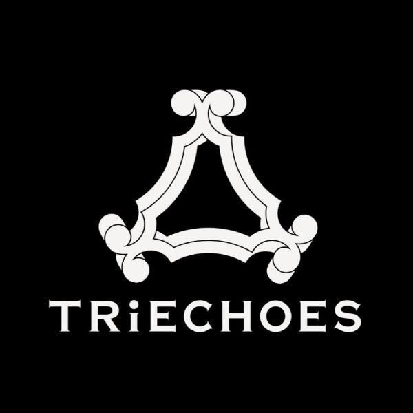 ファイル:TRiECHOES Official.jpg