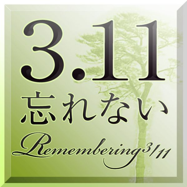 ファイル:FNN311.jpg