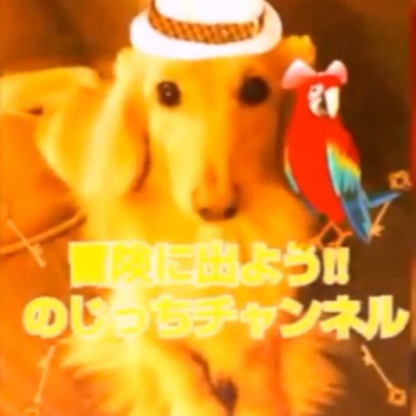 ファイル:のじっちTV.jpg