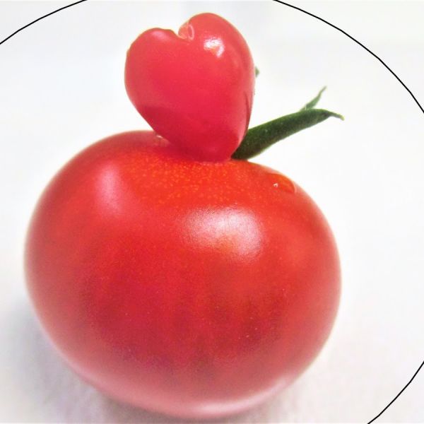 ファイル:Chieko043.jpg