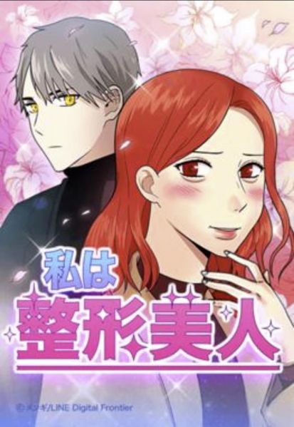 ファイル:私は整形美人.jpg