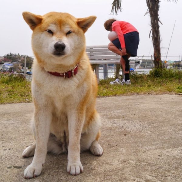 ファイル:Inosemarine.jpg