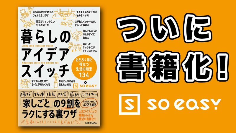 ファイル:Soeasy【公式】ライフハック動画.jpg